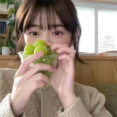 森林里的熊先生冬眠中